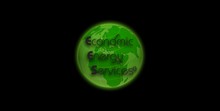 Economic Energy Services